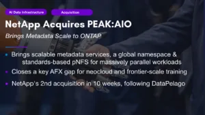 NetApp Acquires PEAK:AIO